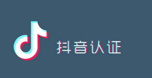 海南抖音快手認(rèn)證招商代理 解鎖短視頻商業(yè)新引擎